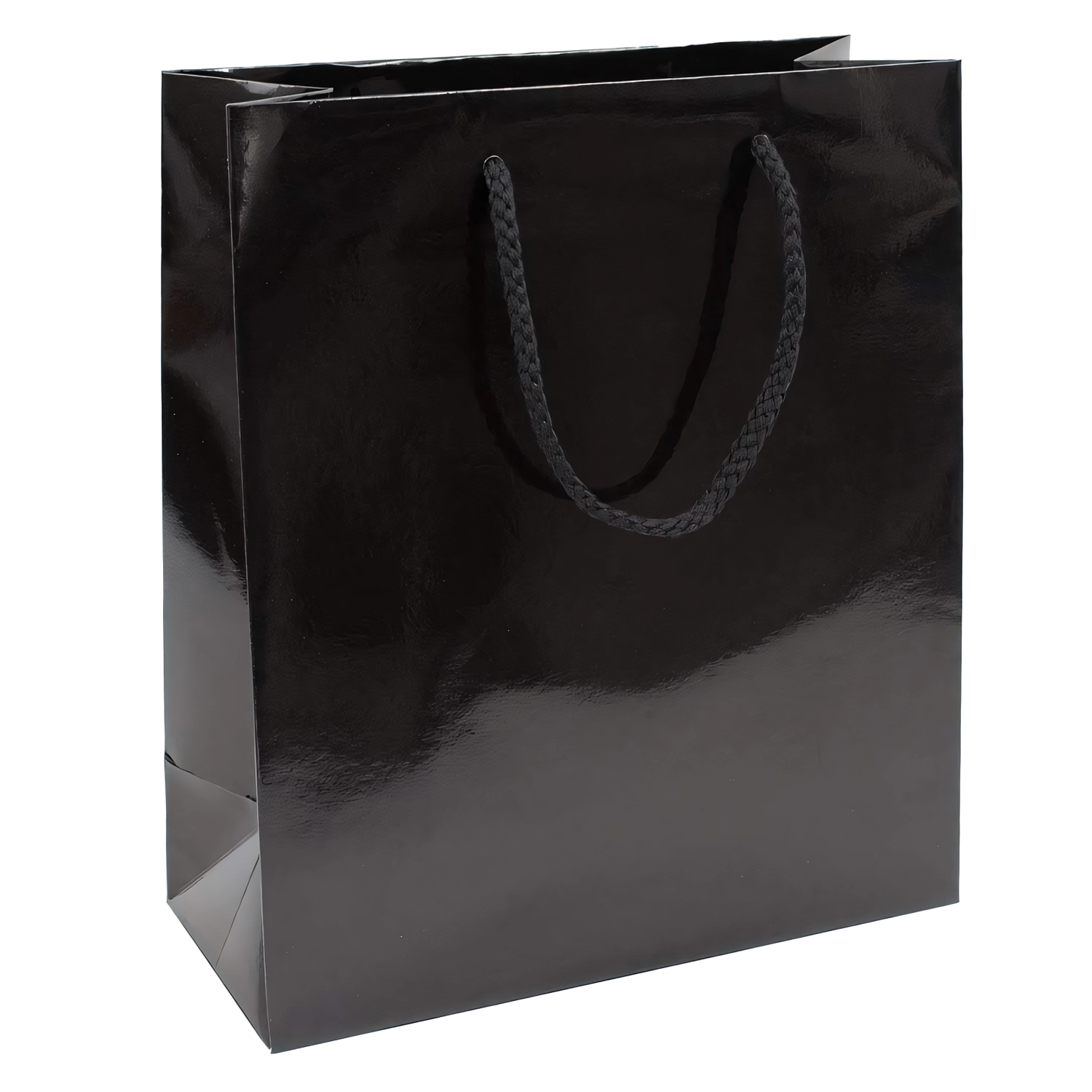 Gloss Boutique Bags with Handles