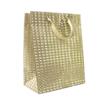 Shiny Glitter Gift Bag