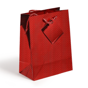 Holographic Gift Bags with Corded Handles Red