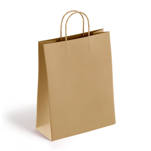Brown Paper Bags with Handles