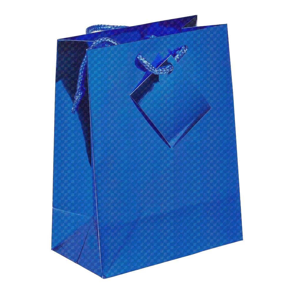 Small Blue Holographic Gift Bags with Corded Handles