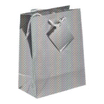 Small Silver Holographic Gift Bags with Corded Handles